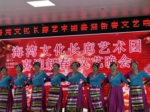海灣文化長廊藝術團舉辦“喜迎新春”文藝晚會，共繪文化藝術交流新畫卷